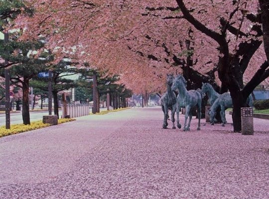 舘野公園 青森 下北 三沢 人気お花見スポット 一休 Comレストラン