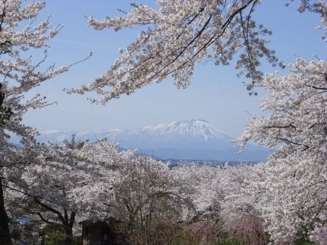 花巻 北上 遠野お花見21 花巻 北上 遠野 情緒あふれる桜景色を満喫 お花見おすすめ人気スポット6選 一休 Comレストラン