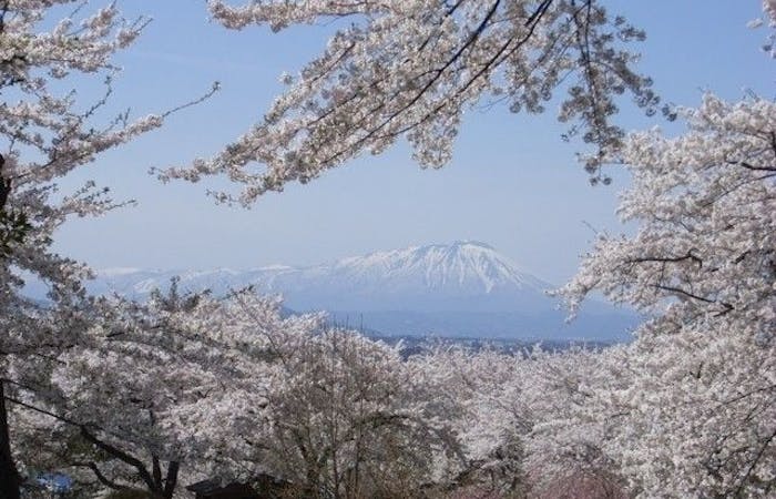 花巻 北上 遠野お花見21 花巻 北上 遠野 情緒あふれる桜景色を満喫 お花見おすすめ人気スポット6選 一休 Comレストラン 花巻 北上 遠野お花見21 花巻 北上 遠野 情緒あふれる桜景色を満喫 お花見おすすめ人気スポット6選 一休 Comレストラン