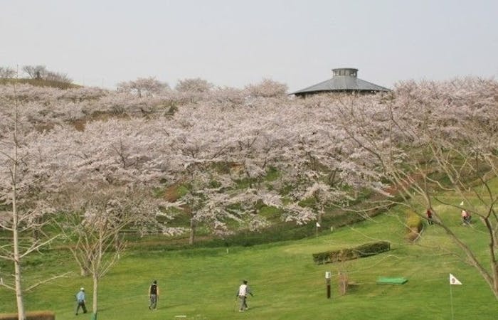 鳴子 大崎お花見21 鳴子 大崎 情緒あふれる桜景色を満喫 お花見おすすめ人気スポット5選 一休 Comレストラン 鳴子 大崎お花見21 鳴子 大崎 情緒あふれる桜景色を満喫 お花見おすすめ人気スポット5選 一休 Comレストラン