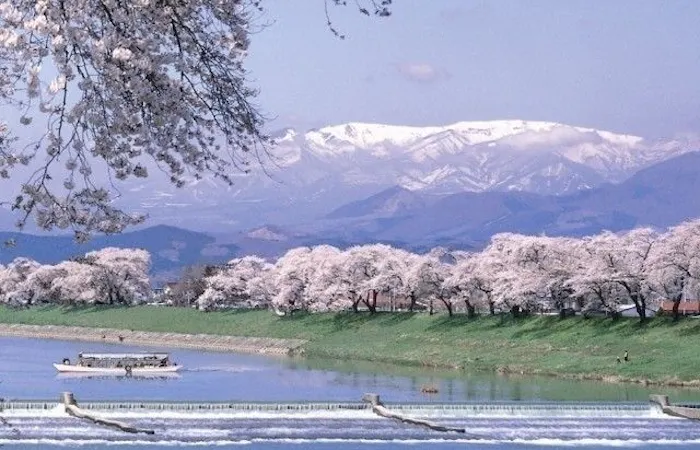 白石 蔵王 川崎 柴田お花見22 白石 蔵王 川崎 柴田 情緒あふれる桜景色を満喫 お花見おすすめ人気スポット10選 一休 Comレストラン 白石 蔵王 川崎 柴田お花見22 白石 蔵王 川崎 柴田 情緒あふれる桜景色を満喫 お花見おすすめ人気スポット10選 一休 Comレストラン