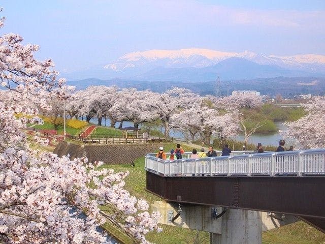 船岡城址公園 宮城 白石 蔵王 川崎 柴田 人気お花見スポット 一休 Comレストラン 船岡城址公園 宮城 白石 蔵王 川崎 柴田 人気お花見スポット 一休 Comレストラン