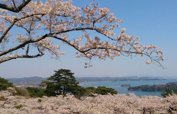 仙台お花見21 仙台 情緒あふれる桜景色を満喫 お花見おすすめ人気スポット7選 一休 Comレストラン 仙台お花見21 仙台 情緒あふれる桜景色を満喫 お花見おすすめ人気スポット7選 一休 Comレストラン