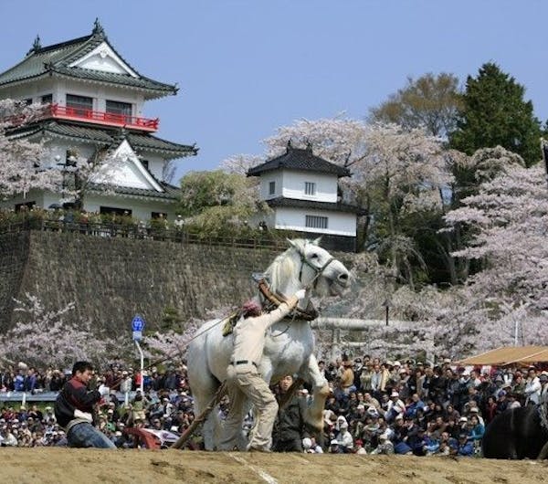 城山公園 宮城県 宮城 鳴子 大崎 人気お花見スポット 一休 Comレストラン 城山公園 宮城県 宮城 鳴子 大崎 人気お花見スポット 一休 Comレストラン