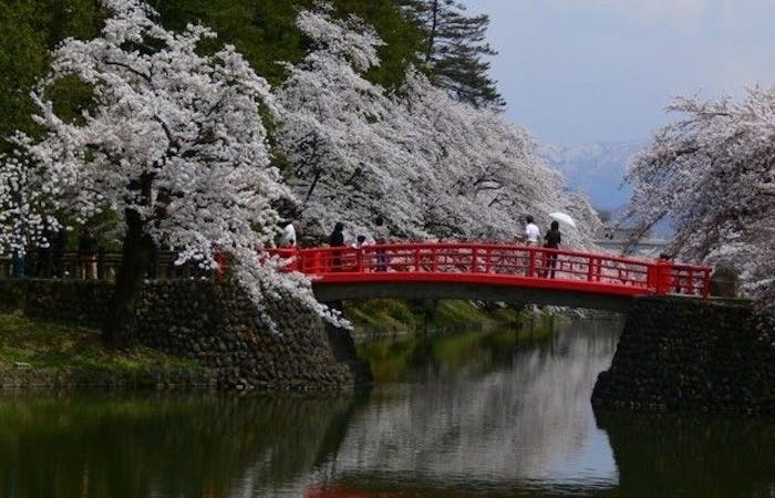 米沢 置賜お花見21 米沢 置賜 情緒あふれる桜景色を満喫 お花見おすすめ人気スポット6選 一休 Comレストラン 米沢 置賜お花見21 米沢 置賜 情緒あふれる桜景色を満喫 お花見おすすめ人気スポット6選 一休 Comレストラン