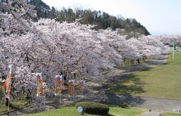 山形 蔵王 天童 上山お花見21 山形 蔵王 天童 上山 情緒あふれる桜景色を満喫 お花見おすすめ人気スポット8選 一休 Comレストラン 山形 蔵王 天童 上山お花見21 山形 蔵王 天童 上山 情緒あふれる桜景色を満喫 お花見おすすめ人気スポット8選 一休 Comレストラン