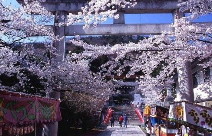 米沢 置賜お花見21 米沢 置賜 情緒あふれる桜景色を満喫 お花見おすすめ人気スポット6選 一休 Comレストラン 米沢 置賜お花見21 米沢 置賜 情緒あふれる桜景色を満喫 お花見おすすめ人気スポット6選 一休 Comレストラン