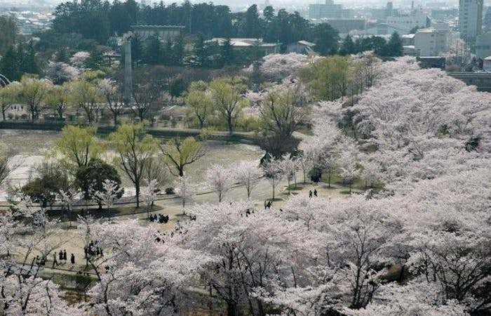 郡山お花見21 郡山 情緒あふれる桜景色を満喫 お花見おすすめ人気スポット11選 一休 Comレストラン 郡山お花見21 郡山 情緒あふれる桜景色を満喫 お花見おすすめ人気スポット11選 一休 Comレストラン