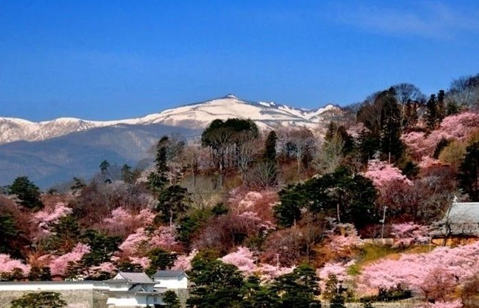 福島 二本松お花見21 福島 二本松 情緒あふれる桜景色を満喫 お花見おすすめ人気スポット9選 一休 Comレストラン 福島 二本松お花見21 福島 二本松 情緒あふれる桜景色を満喫 お花見おすすめ人気スポット9選 一休 Comレストラン