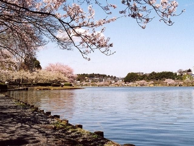 水戸 笠間お花見21 水戸 笠間 情緒あふれる桜景色を満喫 お花見おすすめ人気スポット11選 一休 Comレストラン 水戸 笠間お花見21 水戸 笠間 情緒あふれる桜景色を満喫 お花見おすすめ人気スポット11選 一休 Comレストラン