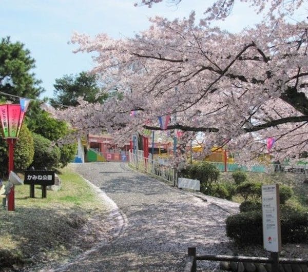 かみね公園 茨城 北茨城 奥久慈 日立 人気お花見スポット 一休 Comレストラン かみね公園 茨城 北茨城 奥久慈 日立 人気お花見スポット 一休 Comレストラン