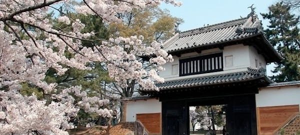 つくば 牛久お花見21 つくば 牛久 情緒あふれる桜景色を満喫 お花見おすすめ人気スポット15選 一休 Comレストラン つくば 牛久お花見21 つくば 牛久 情緒あふれる桜景色を満喫 お花見おすすめ人気スポット15選 一休 Comレストラン