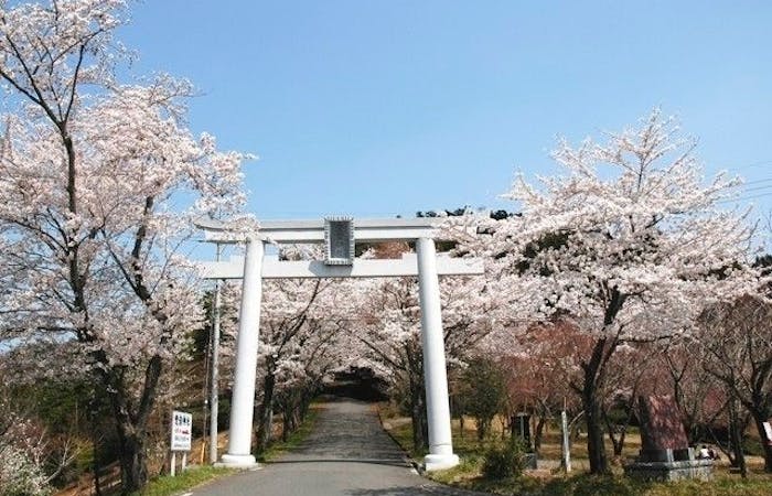 つくば 牛久お花見21 つくば 牛久 情緒あふれる桜景色を満喫 お花見おすすめ人気スポット15選 一休 Comレストラン つくば 牛久お花見21 つくば 牛久 情緒あふれる桜景色を満喫 お花見おすすめ人気スポット15選 一休 Comレストラン