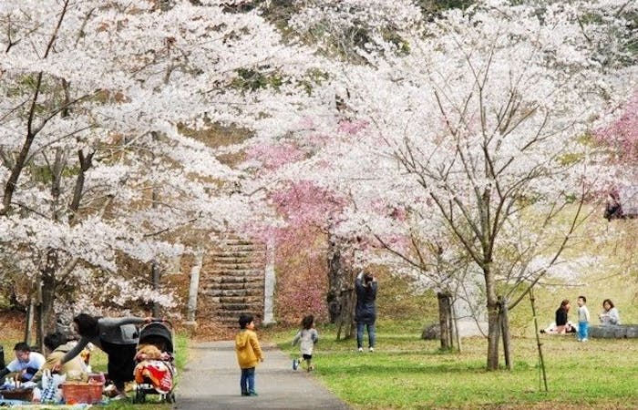 つくば 牛久お花見22 つくば 牛久 情緒あふれる桜景色を満喫 お花見おすすめ人気スポット15選 一休 Comレストラン つくば 牛久お花見22 つくば 牛久 情緒あふれる桜景色を満喫 お花見おすすめ人気スポット15選 一休 Comレストラン