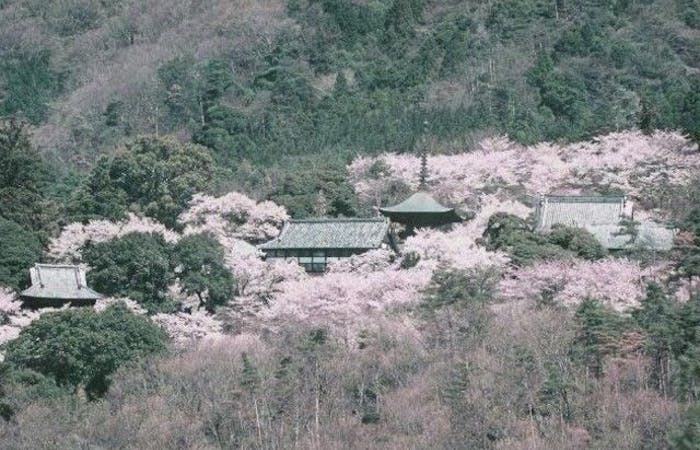 水戸 笠間お花見21 水戸 笠間 情緒あふれる桜景色を満喫 お花見おすすめ人気スポット11選 一休 Comレストラン 水戸 笠間お花見21 水戸 笠間 情緒あふれる桜景色を満喫 お花見おすすめ人気スポット11選 一休 Comレストラン