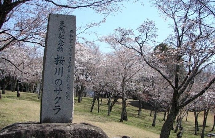 つくば 牛久お花見22 つくば 牛久 情緒あふれる桜景色を満喫 お花見おすすめ人気スポット15選 一休 Comレストラン つくば 牛久お花見22 つくば 牛久 情緒あふれる桜景色を満喫 お花見おすすめ人気スポット15選 一休 Comレストラン