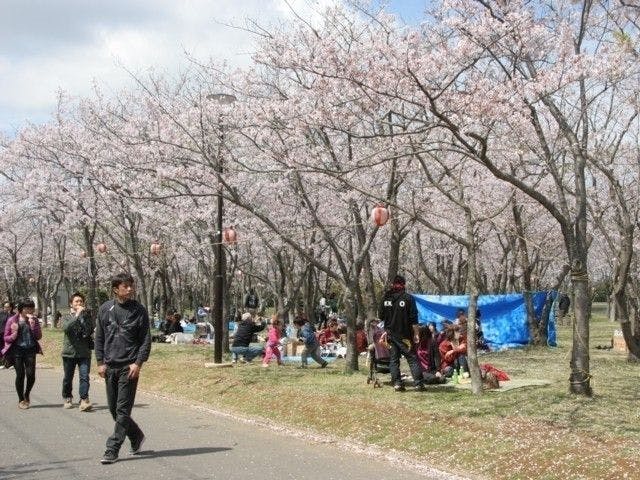神之池緑地公園 茨城 霞ヶ浦 土浦 鹿島 潮来 人気お花見スポット 一休 Comレストラン