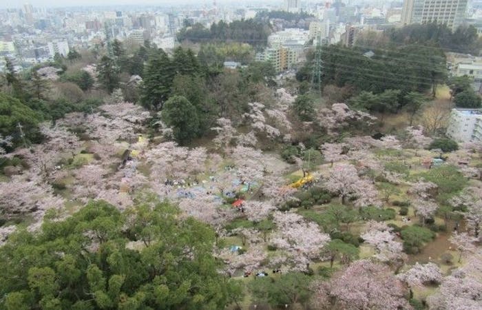 那須塩原お花見21 那須塩原 情緒あふれる桜景色を満喫 お花見おすすめ人気スポット7選 一休 Comレストラン 那須塩原お花見21 那須塩原 情緒あふれる桜景色を満喫 お花見おすすめ人気スポット7選 一休 Comレストラン