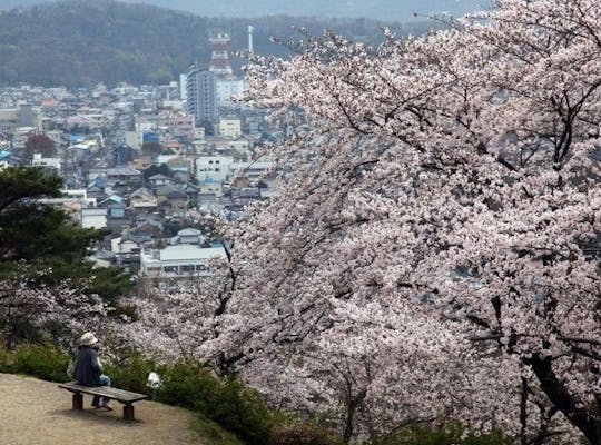八幡山公園 栃木 宇都宮 人気お花見スポット 一休 Comレストラン 八幡山公園 栃木 宇都宮 人気お花見スポット 一休 Comレストラン