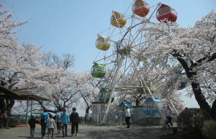 佐野 小山 足利 鹿沼お花見21 佐野 小山 足利 鹿沼 情緒あふれる桜景色を満喫 お花見おすすめ人気スポット15選 一休 Comレストラン 佐野 小山 足利 鹿沼お花見21 佐野 小山 足利 鹿沼 情緒あふれる桜景色を満喫 お花見おすすめ人気スポット15選 一休 Comレストラン