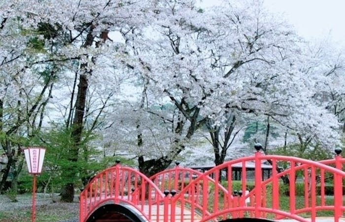 那須塩原お花見21 那須塩原 情緒あふれる桜景色を満喫 お花見おすすめ人気スポット7選 一休 Comレストラン 那須塩原お花見21 那須塩原 情緒あふれる桜景色を満喫 お花見おすすめ人気スポット7選 一休 Comレストラン