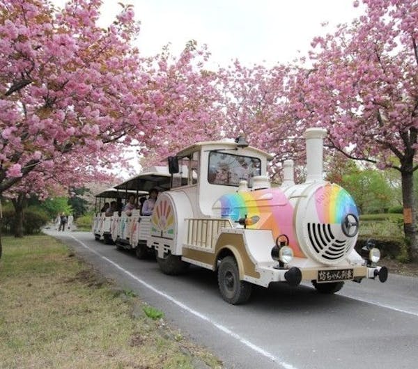 天平の丘公園 栃木 佐野 小山 足利 鹿沼 人気お花見スポット 一休 Comレストラン 天平の丘公園 栃木 佐野 小山 足利 鹿沼 人気お花見スポット 一休 Comレストラン