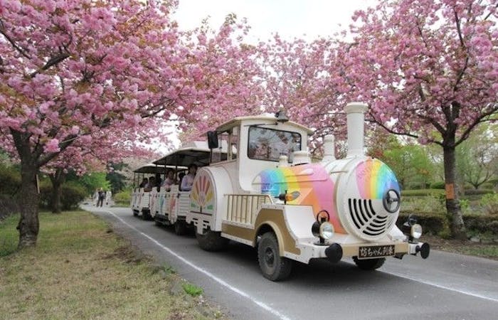 那須塩原お花見21 那須塩原 情緒あふれる桜景色を満喫 お花見おすすめ人気スポット7選 一休 Comレストラン 那須塩原お花見21 那須塩原 情緒あふれる桜景色を満喫 お花見おすすめ人気スポット7選 一休 Comレストラン