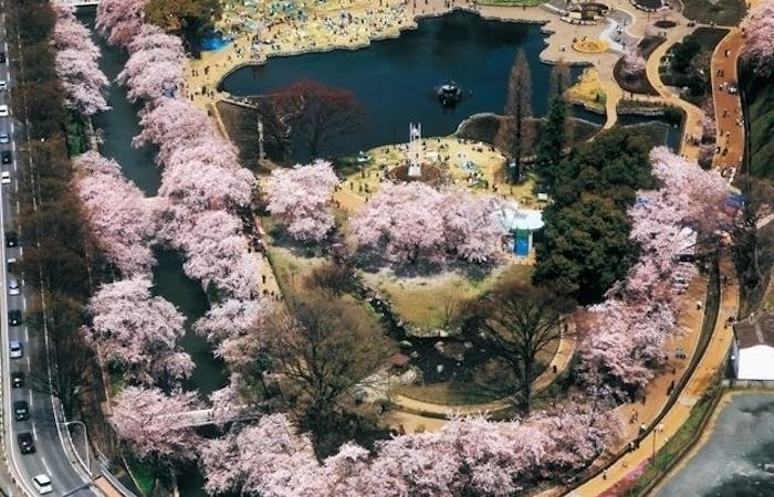 前橋市お花見21 前橋市 情緒あふれる桜景色を満喫 お花見おすすめ人気スポット18選 一休 Comレストラン 前橋市お花見21 前橋市 情緒あふれる桜景色を満喫 お花見おすすめ人気スポット18選 一休 Comレストラン