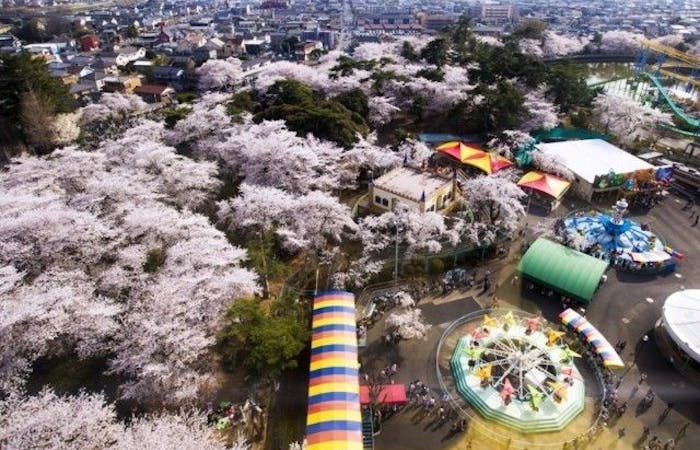 伊勢崎 太田お花見21 伊勢崎 太田 情緒あふれる桜景色を満喫 お花見おすすめ人気スポット19選 一休 Comレストラン 伊勢崎 太田お花見21 伊勢崎 太田 情緒あふれる桜景色を満喫 お花見おすすめ人気スポット19選 一休 Comレストラン