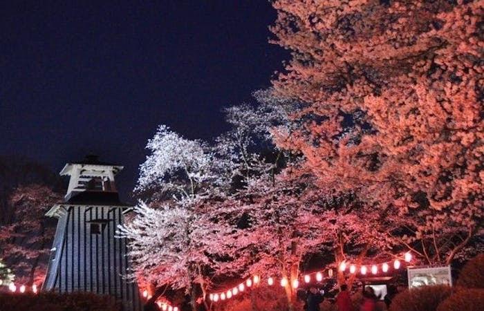 沼田 老神 尾瀬お花見22 沼田 老神 尾瀬 情緒あふれる桜景色を満喫 お花見おすすめ人気スポット3選 一休 Comレストラン 沼田 老神 尾瀬お花見22 沼田 老神 尾瀬 情緒あふれる桜景色を満喫 お花見おすすめ人気スポット3選 一休 Comレストラン