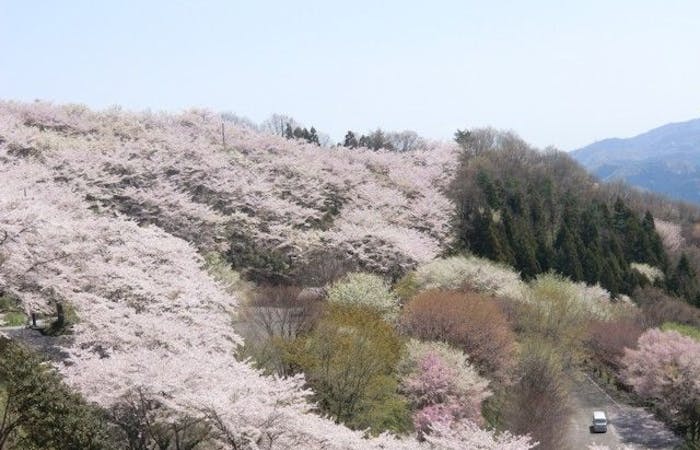 藤岡 碓氷 磯部 妙義お花見22 藤岡 碓氷 磯部 妙義 情緒あふれる桜景色を満喫 お花見おすすめ人気スポット16選 一休 Comレストラン 藤岡 碓氷 磯部 妙義お花見22 藤岡 碓氷 磯部 妙義 情緒あふれる桜景色を満喫 お花見おすすめ人気スポット16選 一休 Comレストラン