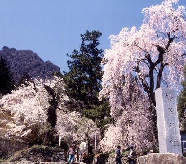 妙義神社 群馬 藤岡 碓氷 磯部 妙義 人気お花見スポット 一休 Comレストラン 妙義神社 群馬 藤岡 碓氷 磯部 妙義 人気お花見スポット 一休 Comレストラン
