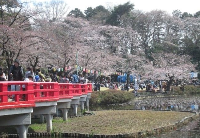 22年 埼玉お花見で行きたい桜名所 埼玉お花見におすすめ人気スポット16選 一休 Comレストラン 22年 埼玉お花見で行きたい桜名所 埼玉お花見におすすめ人気スポット16選 一休 Comレストラン