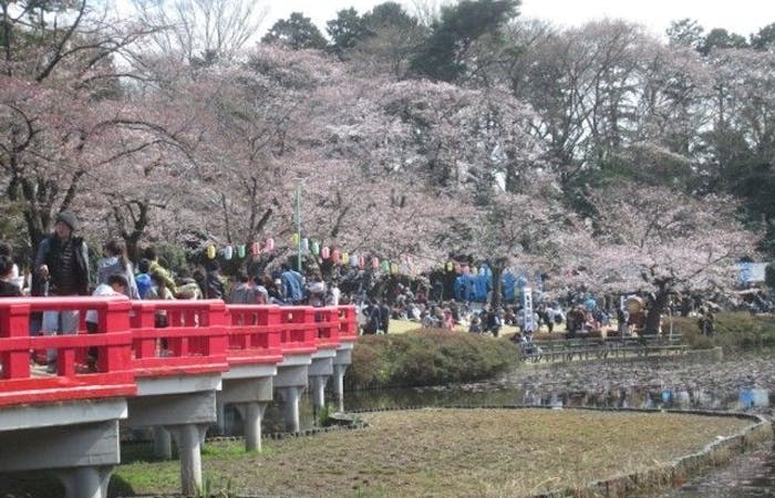 飯能お花見21 飯能 情緒あふれる桜景色を満喫 お花見おすすめ人気スポット30選 一休 Comレストラン 飯能お花見21 飯能 情緒あふれる桜景色を満喫 お花見おすすめ人気スポット30選 一休 Comレストラン