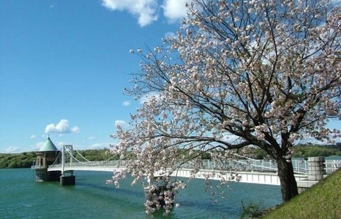 奥多摩お花見21 奥多摩 情緒あふれる桜景色を満喫 お花見おすすめ人気スポット21選 一休 Comレストラン 奥多摩お花見21 奥多摩 情緒あふれる桜景色を満喫 お花見おすすめ人気スポット21選 一休 Comレストラン
