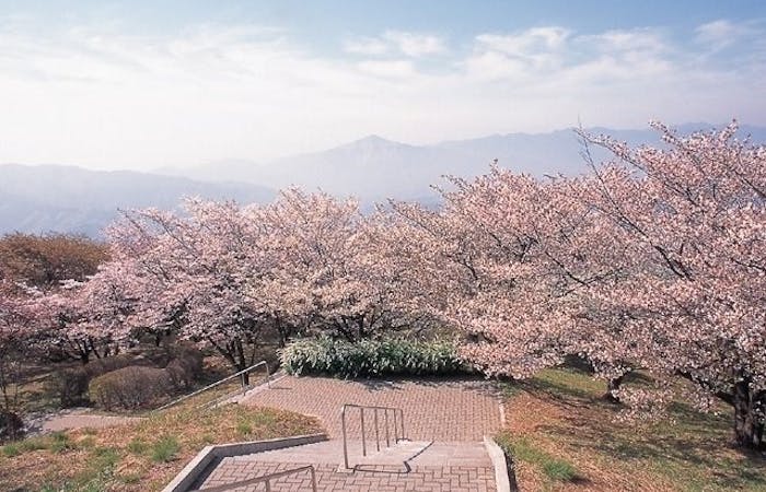 秩父お花見21 秩父 情緒あふれる桜景色を満喫 お花見おすすめ人気スポット18選 一休 Comレストラン 秩父お花見21 秩父 情緒あふれる桜景色を満喫 お花見おすすめ人気スポット18選 一休 Comレストラン