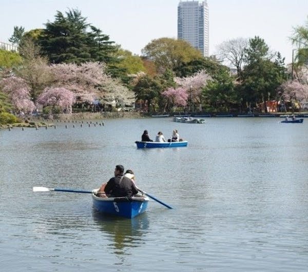 千葉公園 千葉 千葉 市原 人気お花見スポット 一休 Comレストラン 千葉公園 千葉 千葉 市原 人気お花見スポット 一休 Comレストラン