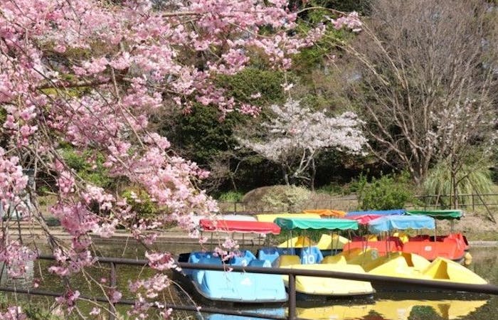 松戸 柏 野田お花見22 松戸 柏 野田 情緒あふれる桜景色を満喫 お花見おすすめ人気スポット30選 一休 Comレストラン