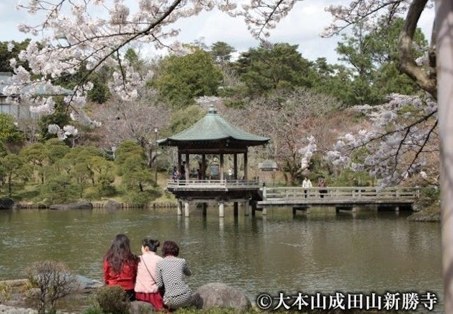 21年 千葉お花見で行きたい桜名所 千葉お花見におすすめ人気スポット10選 一休 Comレストラン 21年 千葉お花見で行きたい桜名所 千葉お花見におすすめ人気スポット10選 一休 Comレストラン