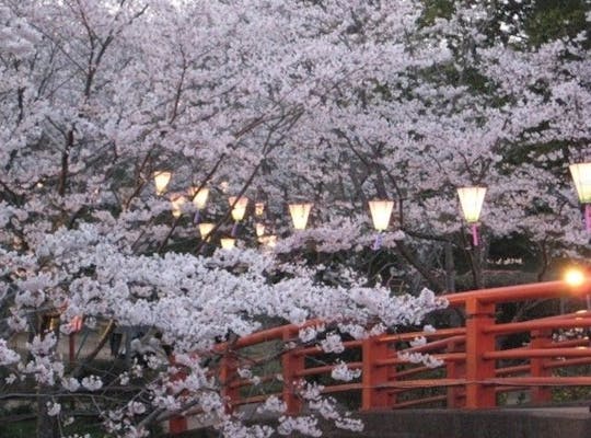 清水公園 千葉県 千葉 松戸 柏 野田 人気お花見スポット 一休 Comレストラン 清水公園 千葉県 千葉 松戸 柏 野田 人気お花見スポット 一休 Comレストラン