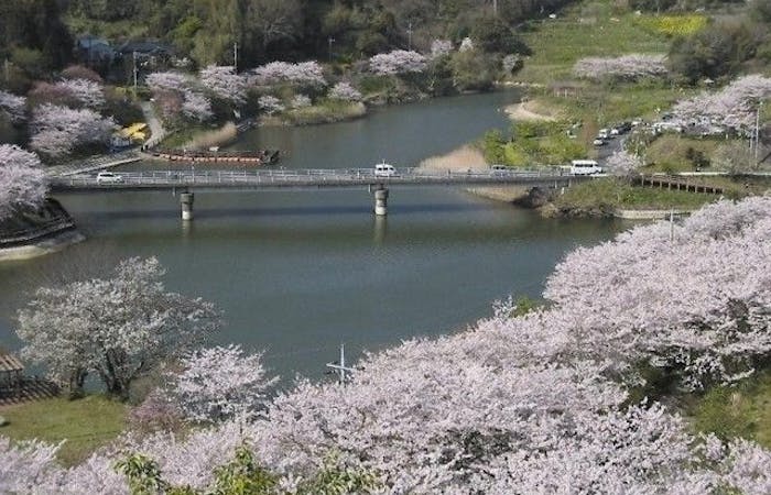 香取お花見21 香取 情緒あふれる桜景色を満喫 お花見おすすめ人気スポット5選 一休 Comレストラン 香取お花見21 香取 情緒あふれる桜景色を満喫 お花見おすすめ人気スポット5選 一休 Comレストラン