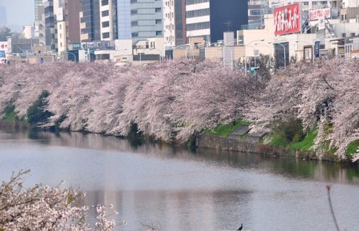 芝公園お花見22 芝公園 情緒あふれる桜景色を満喫 お花見おすすめ人気スポット30選 一休 Comレストラン 芝公園お花見22 芝公園 情緒あふれる桜景色を満喫 お花見おすすめ人気スポット30選 一休 Comレストラン