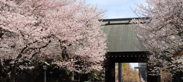 芝公園お花見21 芝公園 情緒あふれる桜景色を満喫 お花見おすすめ人気スポット30選 一休 Comレストラン 芝公園お花見21 芝公園 情緒あふれる桜景色を満喫 お花見おすすめ人気スポット30選 一休 Comレストラン