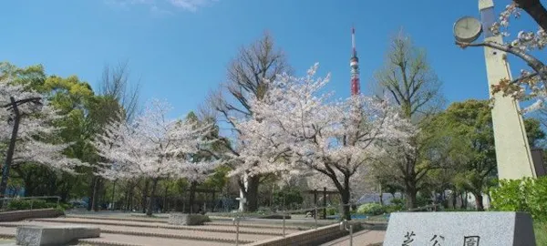 六本木お花見22 六本木 情緒あふれる桜景色を満喫 お花見おすすめ人気スポット30選 一休 Comレストラン 六本木お花見22 六本木 情緒あふれる桜景色を満喫 お花見おすすめ人気スポット30選 一休 Comレストラン