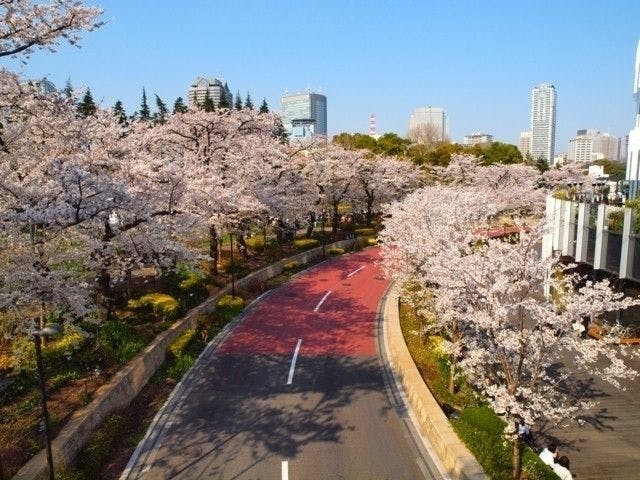 東京ミッドタウン 東京 六本木 人気お花見スポット 一休 Comレストラン