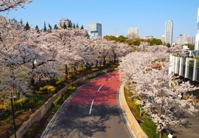 21年 東京お花見で行きたい桜名所 東京お花見におすすめ人気スポット30選 一休 Comレストラン 21年 東京お花見で行きたい桜名所 東京お花見におすすめ人気スポット30選 一休 Comレストラン