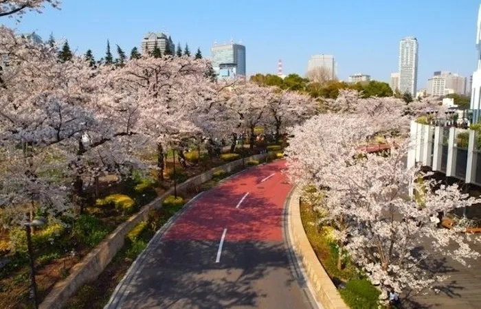川崎お花見21 川崎 情緒あふれる桜景色を満喫 お花見おすすめ人気スポット30選 一休 Comレストラン 川崎お花見21 川崎 情緒あふれる桜景色を満喫 お花見おすすめ人気スポット30選 一休 Comレストラン