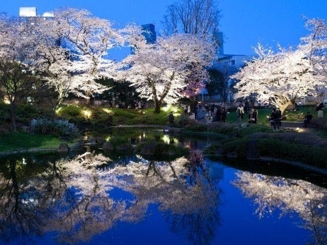 川崎お花見22 川崎 情緒あふれる桜景色を満喫 お花見おすすめ人気スポット30選 一休 Comレストラン