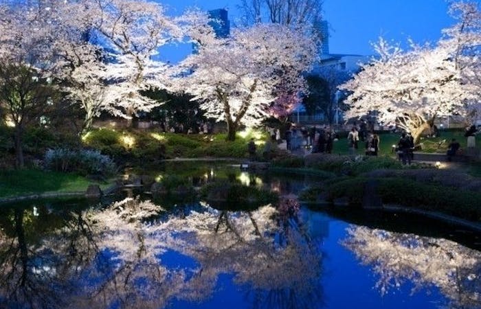 川崎お花見22 川崎 情緒あふれる桜景色を満喫 お花見おすすめ人気スポット30選 一休 Comレストラン 川崎お花見22 川崎 情緒あふれる桜景色を満喫 お花見おすすめ人気スポット30選 一休 Comレストラン