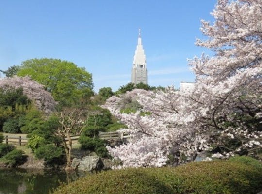 代々木公園 東京 原宿 人気お花見スポット 一休 Comレストラン 代々木公園 東京 原宿 人気お花見スポット 一休 Comレストラン